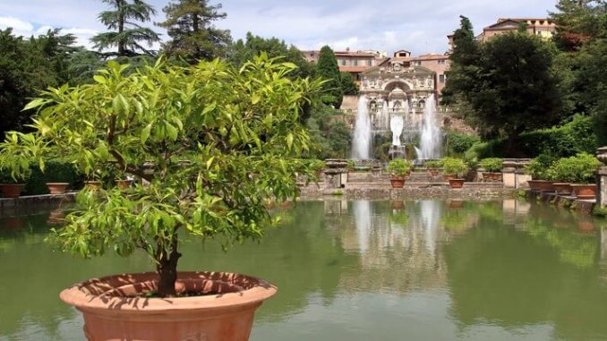 Visite Guidate Ville e giardini d'Italia: Villa d'Este